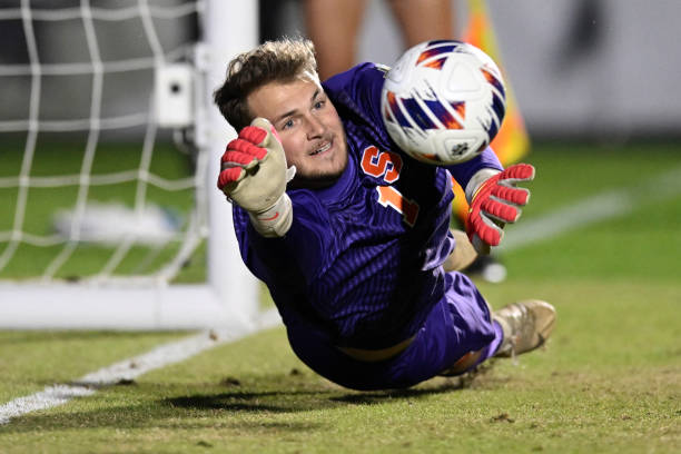 以及本土球 以及本土球