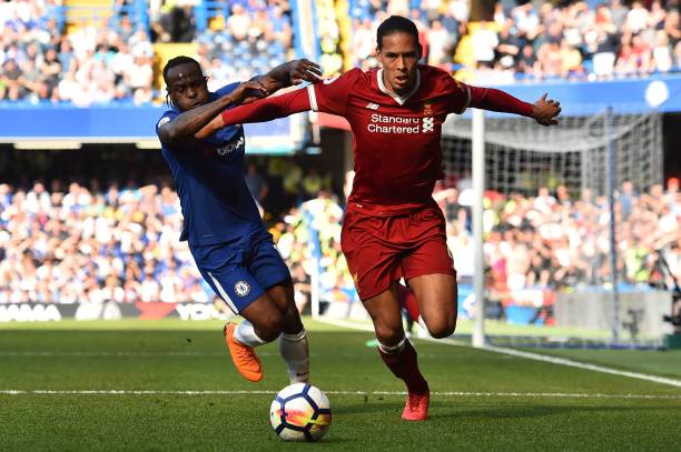 伊劳拉的热 伊劳拉的热