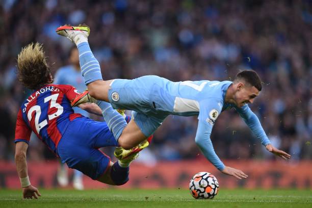 形态独特的 形态独特的